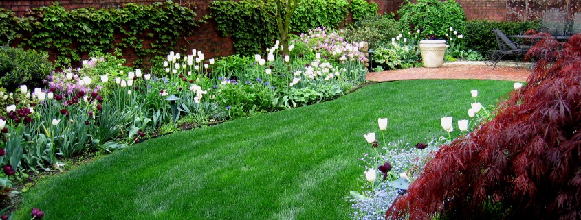 Low maintenance gardens