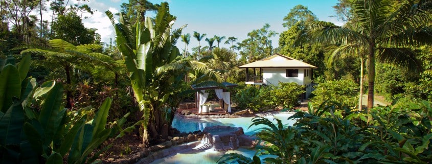 Tropical garden landscaping